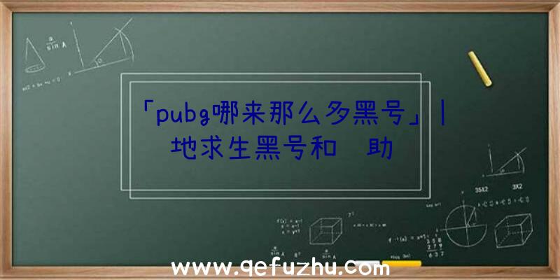 「pubg哪来那么多黑号」|绝地求生黑号和辅助